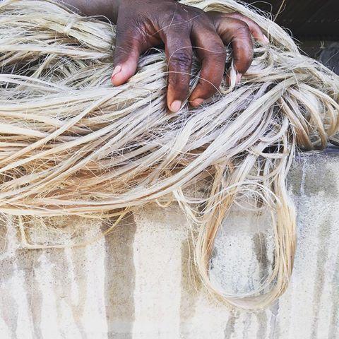 It's All About Sisal.